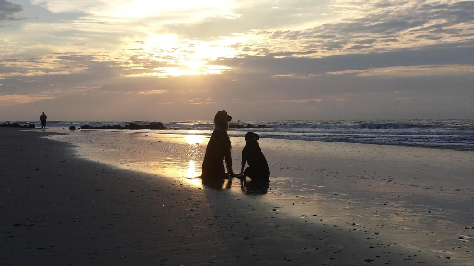 Hotel Folly With Marsh And Sunset Views 폴리 비치 외부 사진
